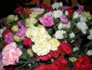 Availability and prices of the flowers depend on the season. Please call us for more information.
Flowers are available as FULL SERVICE � design and arrangement work included.
Also flowers are available for DIY � DO IT YOURSELF SERVICE. 
All flowers are available for purchase in bulk. That transforms into a HUGE saving.
Save up to 40% comparing with retailers prices.
Certain conditions may apply.
Contact us for details.