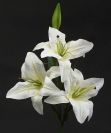 Dry and Silk Flowers are available as FULL SERVICE � design and arrangement work included.
Also flowers are available for DIY � DO IT YOURSELF SERVICE. 
All flowers are available for purchase in bulk. That transforms into a HUGE saving.
Save up to 40% comparing with retailers prices.
Certain conditions may apply.
Contact us for details.