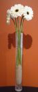 Cracled Vase. 20 inch tall.