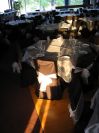 At this function AP CREATIONS had to work with only two colors that were in mind of the client. 
Plain Black and Transparent white organza created a magnificent look in the rays of the sun.
This was pictured during the installation in one of the venues of GTA.
