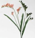 Dry and Silk Flowers are available as FULL SERVICE � design and arrangement work included.
Also flowers are available for DIY � DO IT YOURSELF SERVICE. 
All flowers are available for purchase in bulk. That transforms into a HUGE saving.
Save up to 40% comparing with retailers prices.
Certain conditions may apply.
Contact us for details.
