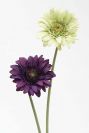 Dry and Silk Flowers are available as FULL SERVICE � design and arrangement work included.
Also flowers are available for DIY � DO IT YOURSELF SERVICE. 
All flowers are available for purchase in bulk. That transforms into a HUGE saving.
Save up to 40% comparing with retailers prices.
Certain conditions may apply.
Contact us for details.