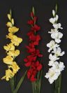 Dry and Silk Flowers are available as FULL SERVICE � design and arrangement work included.
Also flowers are available for DIY � DO IT YOURSELF SERVICE. 
All flowers are available for purchase in bulk. That transforms into a HUGE saving.
Save up to 40% comparing with retailers prices.
Certain conditions may apply.
Contact us for details.