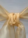 AP CREATIONS carries a wide selection of different colored sashes. A Sash tied in a beautiful knot or in an elegant bow gives a finishing accent to a chair cover. 
Sashes are available to all our clients in Toronto, GTA and in other parts of Ontario.
If we don�t have the sash that you have in mind call us. As we constantly add new colors and new fabrics in to our line of products. If we don�t have it � we can manufacture it!