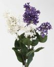 Dry and Silk Flowers are available as FULL SERVICE � design and arrangement work included.
Also flowers are available for DIY � DO IT YOURSELF SERVICE. 
All flowers are available for purchase in bulk. That transforms into a HUGE saving.
Save up to 40% comparing with retailers prices.
Certain conditions may apply.
Contact us for details.