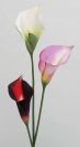 Dry and Silk Flowers are available as FULL SERVICE � design and arrangement work included.
Also flowers are available for DIY � DO IT YOURSELF SERVICE. 
All flowers are available for purchase in bulk. That transforms into a HUGE saving.
Save up to 40% comparing with retailers prices.
Certain conditions may apply.
Contact us for details.