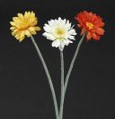 Dry and Silk Flowers are available as FULL SERVICE � design and arrangement work included.
Also flowers are available for DIY � DO IT YOURSELF SERVICE. 
All flowers are available for purchase in bulk. That transforms into a HUGE saving.
Save up to 40% comparing with retailers prices.
Certain conditions may apply.
Contact us for details.