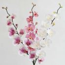 Dry and Silk Flowers are available as FULL SERVICE � design and arrangement work included.
Also flowers are available for DIY � DO IT YOURSELF SERVICE. 
All flowers are available for purchase in bulk. That transforms into a HUGE saving.
Save up to 40% comparing with retailers prices.
Certain conditions may apply.
Contact us for details.