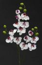 Dry and Silk Flowers are available as FULL SERVICE � design and arrangement work included.
Also flowers are available for DIY � DO IT YOURSELF SERVICE. 
All flowers are available for purchase in bulk. That transforms into a HUGE saving.
Save up to 40% comparing with retailers prices.
Certain conditions may apply.
Contact us for details.