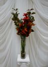 It is cheaper to buy a centerpiece and have it as a give away present to your guests than renting a centerpiece. When you are renting a centerpiece you are absorbing triple labor charges � such as preparation of the centerpiece, disassembly, cleaning and storage. If you BUY a centerpiece � all you pay for is just a single labor charge � to put the centerpiece together. Or you even can do it yourself. All our centerpieces are for sale only. We offer full service and DIY option when you just buy all the components from us and put the centerpiece together yourself. Contact us and see how much you can save using www.decor-rent.com. Centerpieces are available for pick up for (DIY) customers. We deliver centerpieces in Toronto, GTA, Oshawa, Barrie, Newmarket, Brampton, Bolton, Mississauga, North York, Etobicoke, Scarborough, Woodbridge and other cities of Ontario.