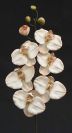 Dry and Silk Flowers are available as FULL SERVICE � design and arrangement work included.
Also flowers are available for DIY � DO IT YOURSELF SERVICE. 
All flowers are available for purchase in bulk. That transforms into a HUGE saving.
Save up to 40% comparing with retailers prices.
Certain conditions may apply.
Contact us for details.