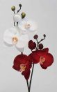 Dry and Silk Flowers are available as FULL SERVICE � design and arrangement work included.
Also flowers are available for DIY � DO IT YOURSELF SERVICE. 
All flowers are available for purchase in bulk. That transforms into a HUGE saving.
Save up to 40% comparing with retailers prices.
Certain conditions may apply.
Contact us for details.