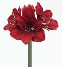 Dry and Silk Flowers are available as FULL SERVICE � design and arrangement work included.
Also flowers are available for DIY � DO IT YOURSELF SERVICE. 
All flowers are available for purchase in bulk. That transforms into a HUGE saving.
Save up to 40% comparing with retailers prices.
Certain conditions may apply.
Contact us for details.