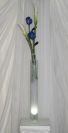 by www.decor-rent.com