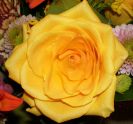 Availability and prices of the flowers depend on the season. Please call us for more information.
Flowers are available as FULL SERVICE � design and arrangement work included.
Also flowers are available for DIY � DO IT YOURSELF SERVICE. 
All flowers are available for purchase in bulk. That transforms into a HUGE saving.
Save up to 40% comparing with retailers prices.
Certain conditions may apply.
Contact us for details.